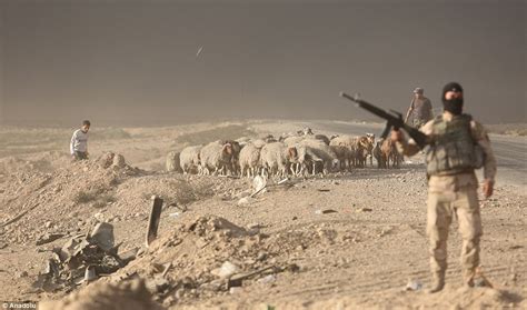 Stunning Pics From The Front Line In The Battle Against Isis Wow Gallery Ebaum S World