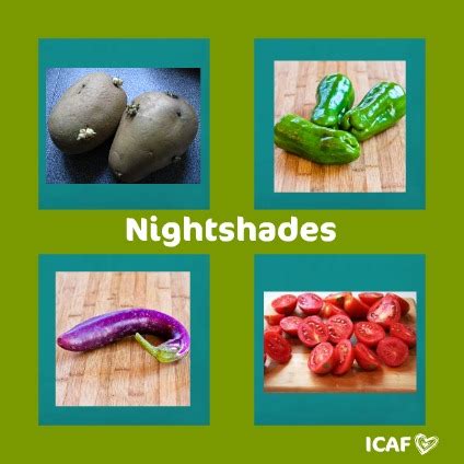 The fruit of the black nightshade, or solanum nigrum, is highly toxic but can easily be mistaken for plump, juicy blueberries. Eat Well Stay Healthy: Should IC Patients Eat Nightshade ...