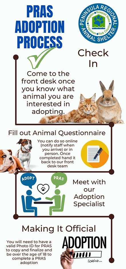 Animal Rescue Tri Fold Brochure Venngage Medtuacth