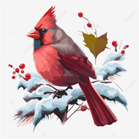Winter Cardinal Vector Sticker Clipart Cardinal Cardinal Winter Image