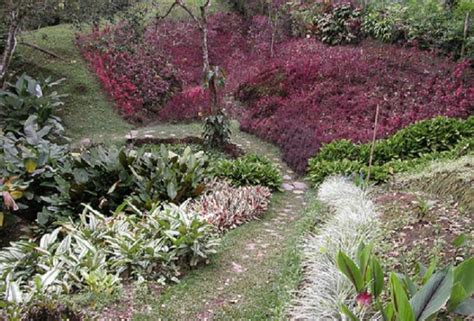 24 feb 20 gobierno de puerto rico departamento de hacienda área de rentas Gobernador y Alcalde se reúnen para concretar compra de la ...