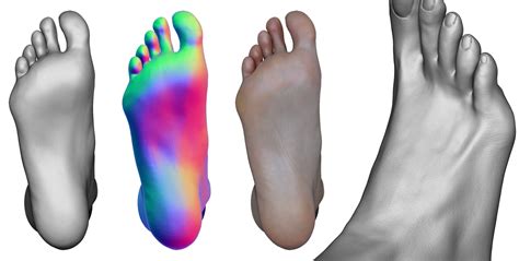 3 X Female Feet Scans