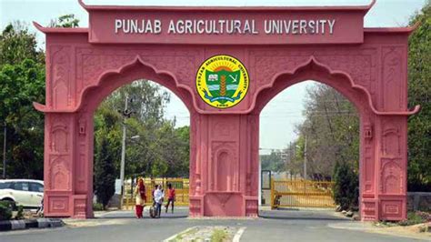 Punjab Agricultural University Ludhiana India Youtube