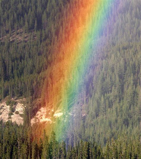 Regenbogen 10 Dinge Die Ihr über Das Naturphänomen Noch Nicht Wusstet