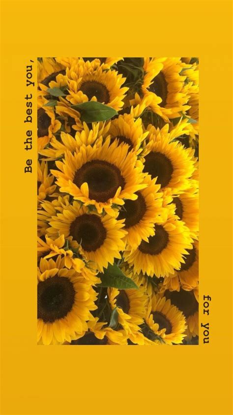 Yellow Aesthetic Sunflowers Hd Wallpapers 1080p 4k Aesthetic Wallpaper Yellow Sunflower