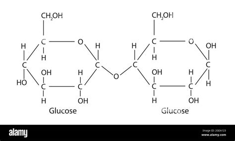 Chemical Structure Of Maltose Anatomy Of Maltose Molecular Structure