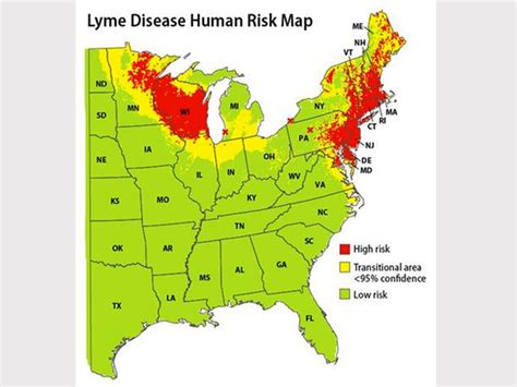Lyme Disease Map Pinpoints High Risk Areas Do You Live In One Cbs News