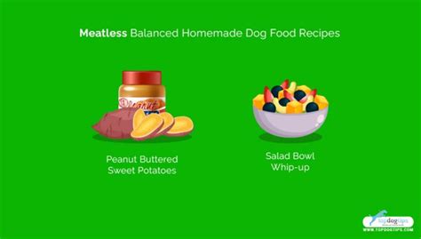 13 Balanced Homemade Dog Food Recipes With Key Nutrients Included
