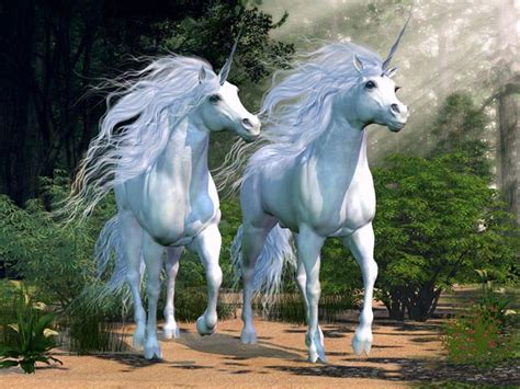 Majestic and mythical unicorns! | Explore | Awesome Activities & Fun