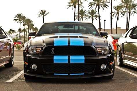 Car Muscle Cars Ford Mustang Shelby Ford Shelby Gt500