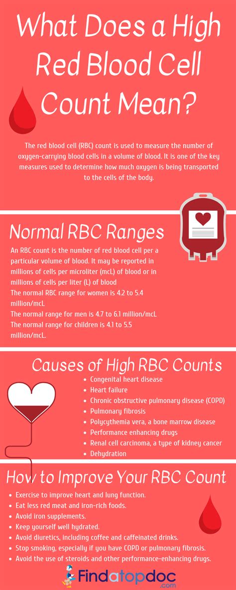 What Does A High Red Blood Cell Rbc Count Mean