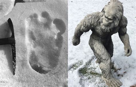 Indian Army Spots Footprints Of Mythological Giant Yeti During Himalaya