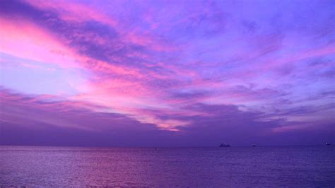 Purple Beach Sunset Wallpaper Hd Img Willy