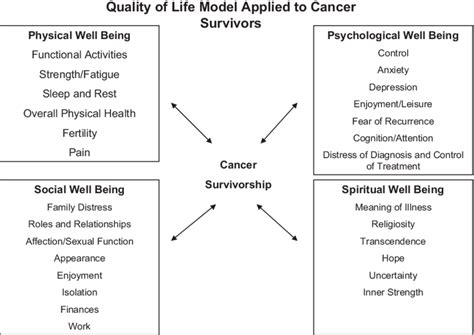 Quality Of Life Model Applied To Cancer Survivors