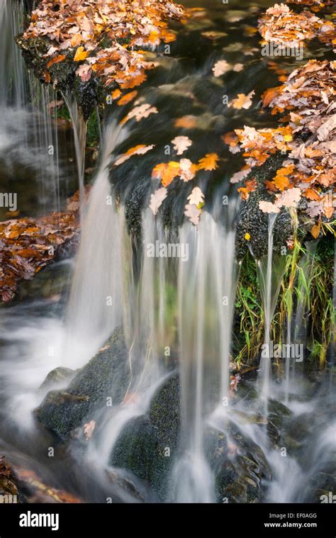Waterfall Elan Valley Rhayader Powys Wales Stock Photo Alamy