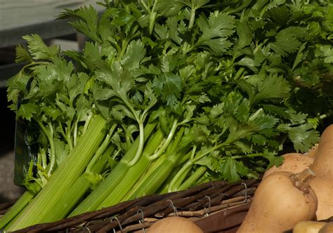 Free Images Food Green Herb Produce Vegetables Celery Turnips