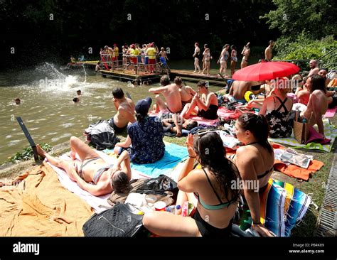People Sunbathing At The Mixed Bathing Pond On Hampstead Heath Hi Res Stock Photography And