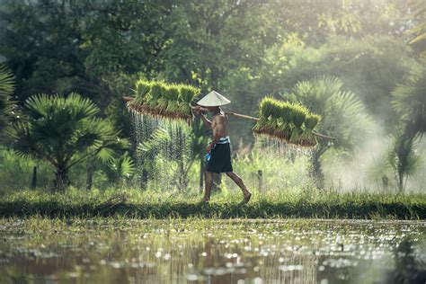 Image agriculteurs-8 : Photo gratuite de adulte, agriculteur, agriculture