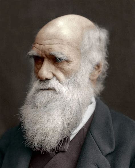 11 Curiosidades De Charles Darwin