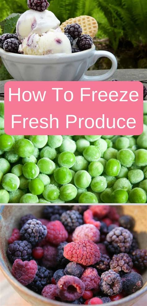 It's such a rare occurrence to get a deal on fresh produce, and this. How To Freeze Fresh Produce
