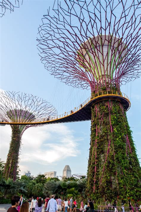 Eating out in singapore on a daily basis is the norm, which is not surprising given the low prices, strict standards of hygiene and wealth of variety on offer. 8 Fun Things to Do in Singapore with Kids + where to eat ...