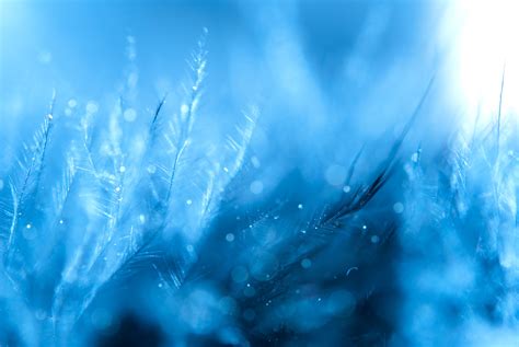 Free Images Water Sky Sunlight Wave Flower Frost
