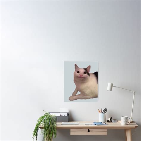 Beluga Cat Poster For Sale By S S16 Redbubble