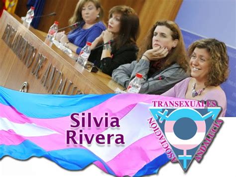 Asociacion De Transexuales De Andalucía Sylvia Rivera Aprobado Por Unanimidad En Comisión