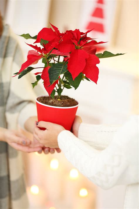 My dad is into electronics but he gets himself everything he wants so i dont even know what to get him. 5 Thoughtful Gifts For Someone Who Has Everything Rural Mom