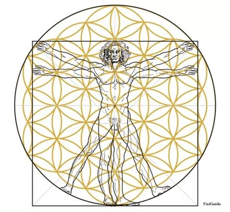 Flower Of Life Meaning Origin And Symbolism The Conscious Vibe