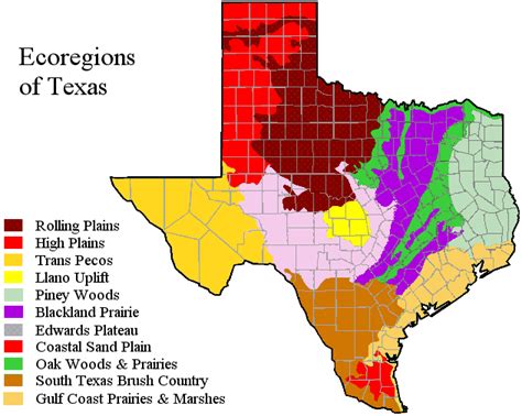 Texas Eco Regions Kids On The Land