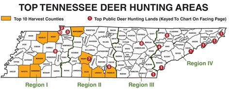 Tennessee Public Hunting Land Map Maps For You