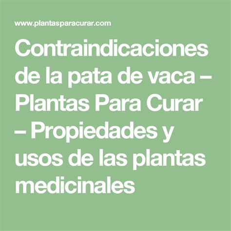 Propiedades Y Beneficios De La Planta Pata De Vaca Plantă Blog