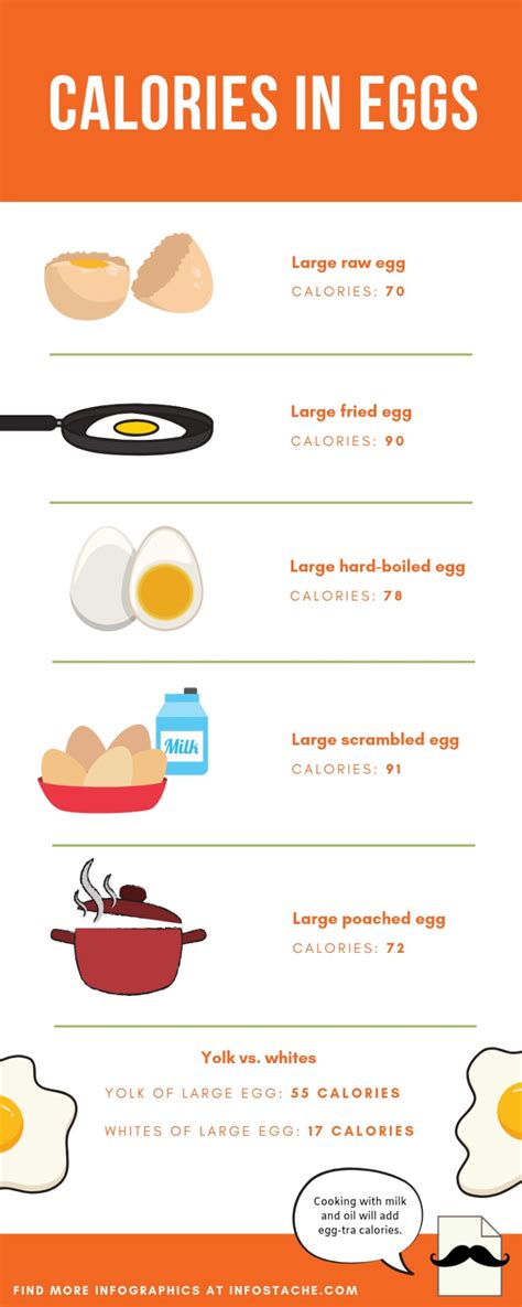 Calories In Eggs Infographic Infostache