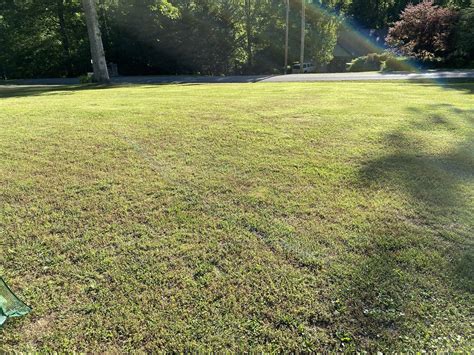 First time lawn care - new home, lawn needs assistance : lawncare