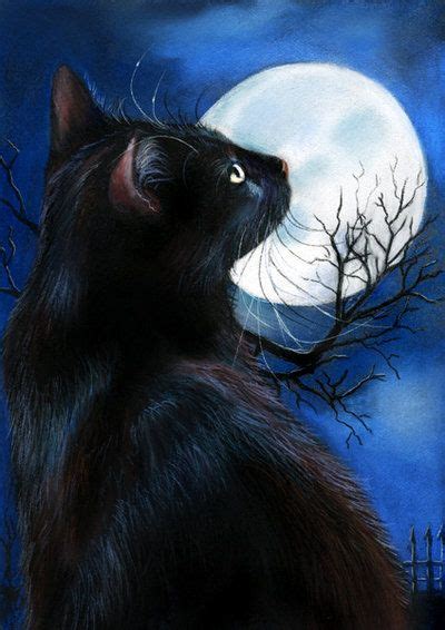 Black Cat Moonstruck Mondsuechtig By Art It On