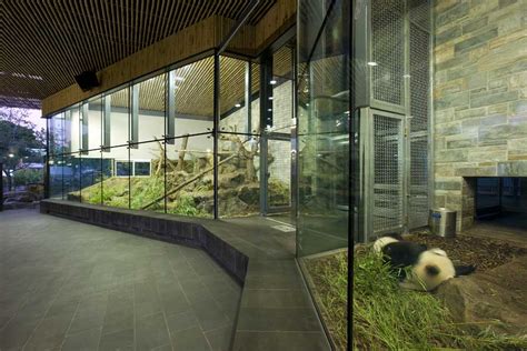 Adelaide Zoo Giant Panda Forest Australia Building E Architect