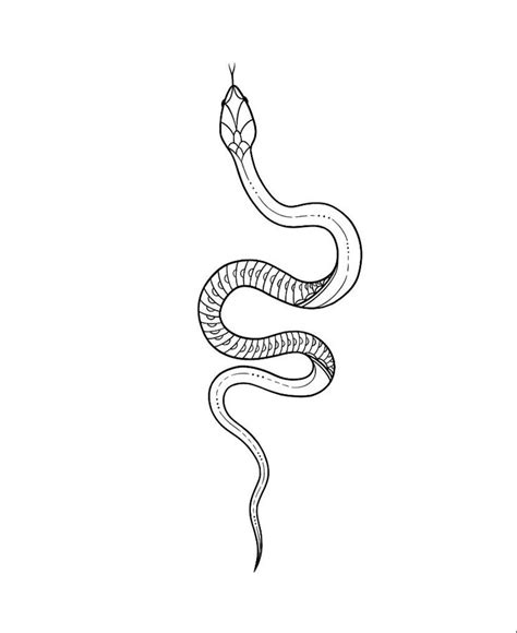 Snake Tatto Tatuagem De Cobra Inspiração Para Tatuagem Tatuagens