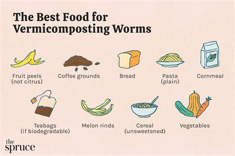 The Best Worm Food For Vermicomposting Worms