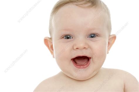 Smiling Baby Boy Stock Image F0029644 Science Photo Library