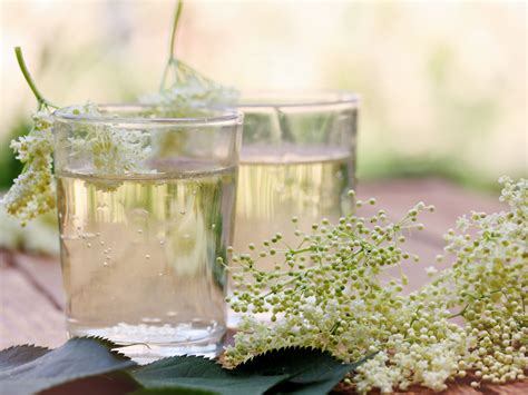 Sirop De Fleurs De Sureau Facile Recette De Sirop De Fleurs De Sureau