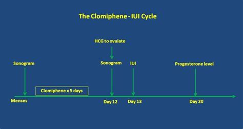 The symptoms of coronavirus infection are quite similar to that of common cold and typically affect the upper respiratory body. Cost of IUI - Irving, TX & Arlington, TX: IVFMD