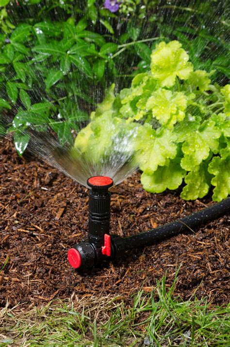 Above Ground Irrigation Systems For Landscaping Diy
