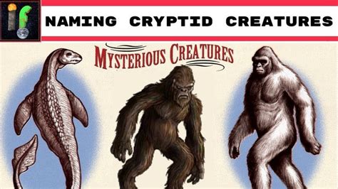 Taxonomania Naming Cryptid Creatures Cryptid Creatures Creatures
