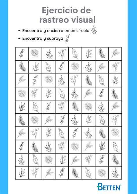 Ejercicios Para Mejorar La Percepción Del Adulto Mayor