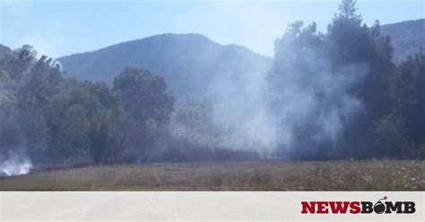 Jun 23, 2021 · φωτια τωρα: Φωτιά ΤΩΡΑ στην Πρέβεζα (video) - fotia tora stin preveza ...