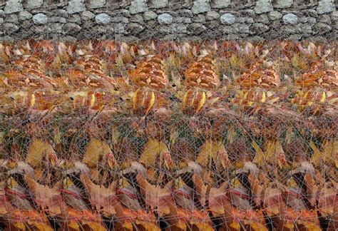 This Is The Best Stereogram I Have Ever Seen Pics Magic Eye Pictures 3d Pictures Hidden