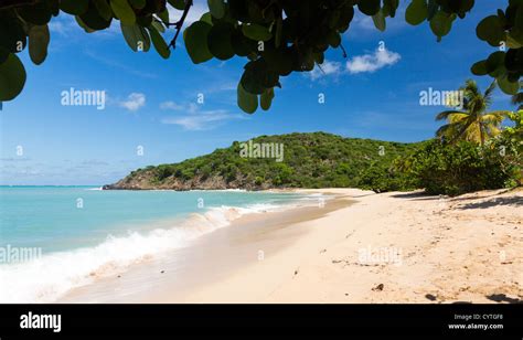 Happy Bay Beach In St Maarten In The Caribbean Stock Photo Alamy