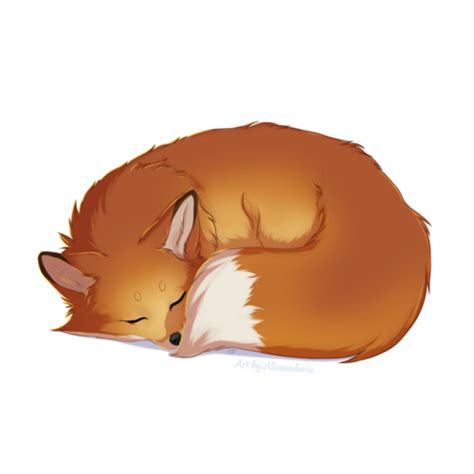 Sleeping Fox On Tumblr