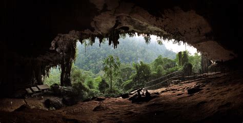 Borneo Caves The Great Cave In Niah National Park In Sarawak Malaysia